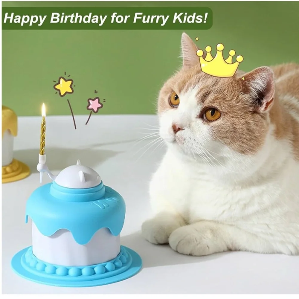 Cat Birthday Cake Bowl, Slow Feeder, Food Bowl, Feeding Spoon, Can Cover, Yellow